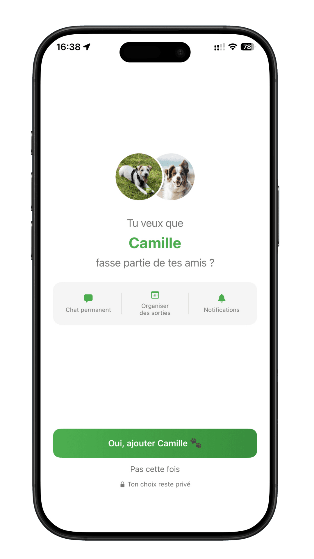 Demande d'amitié entre propriétaires de chiens sur ThePlaceToDog