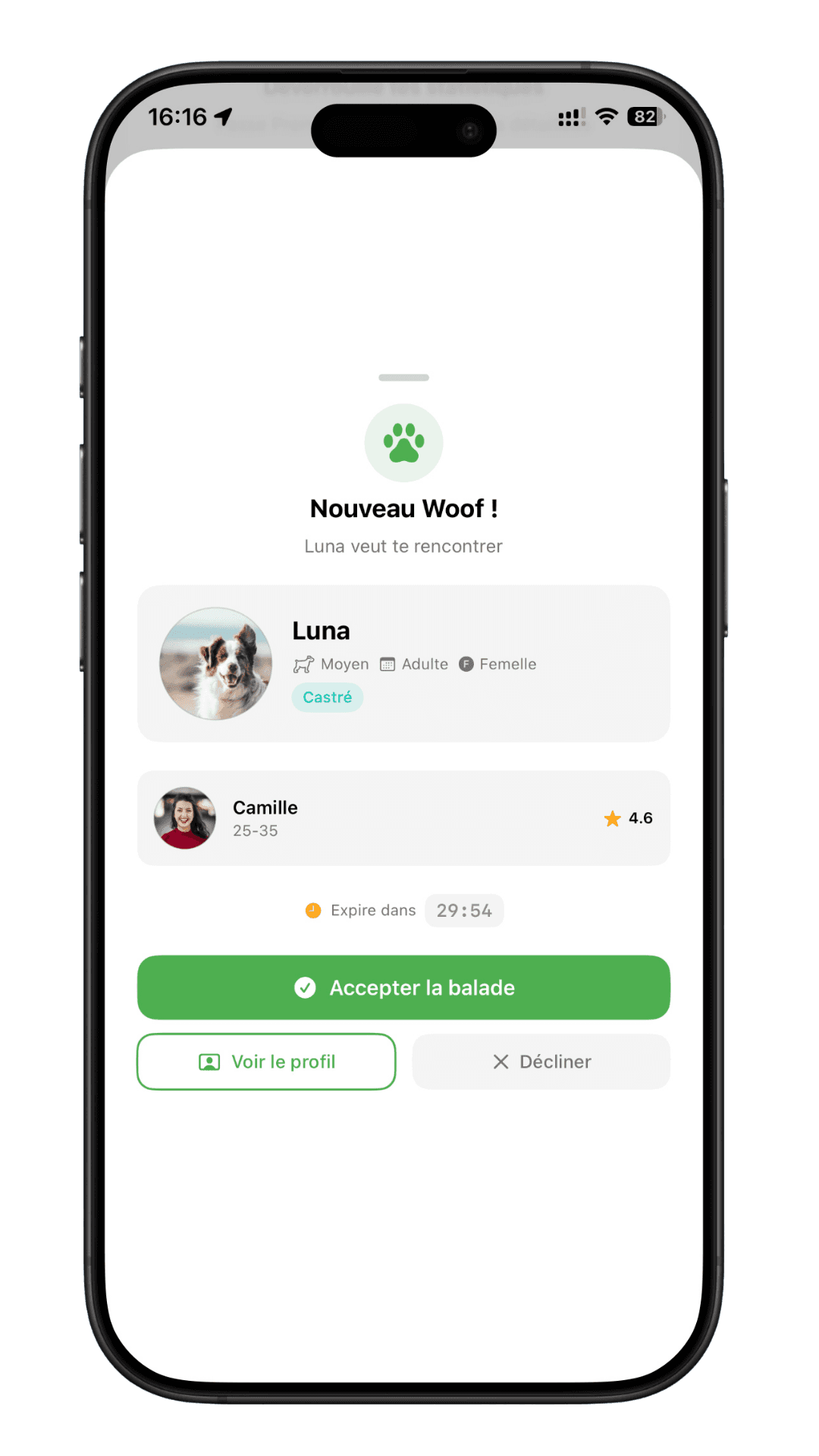 Notification Woof reçu sur ThePlaceToDog avec timer