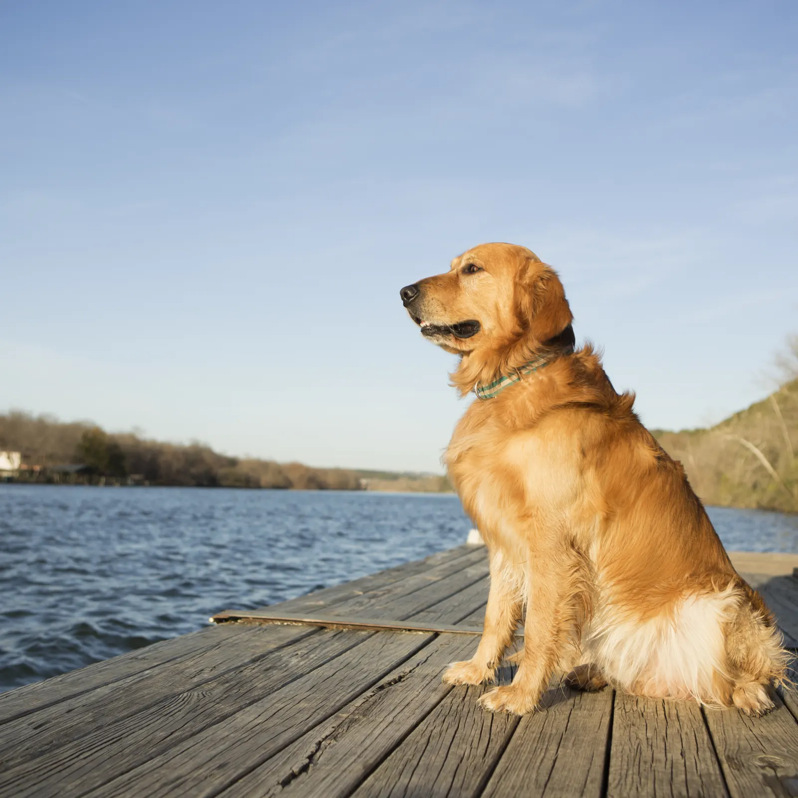 Lakes & waterways