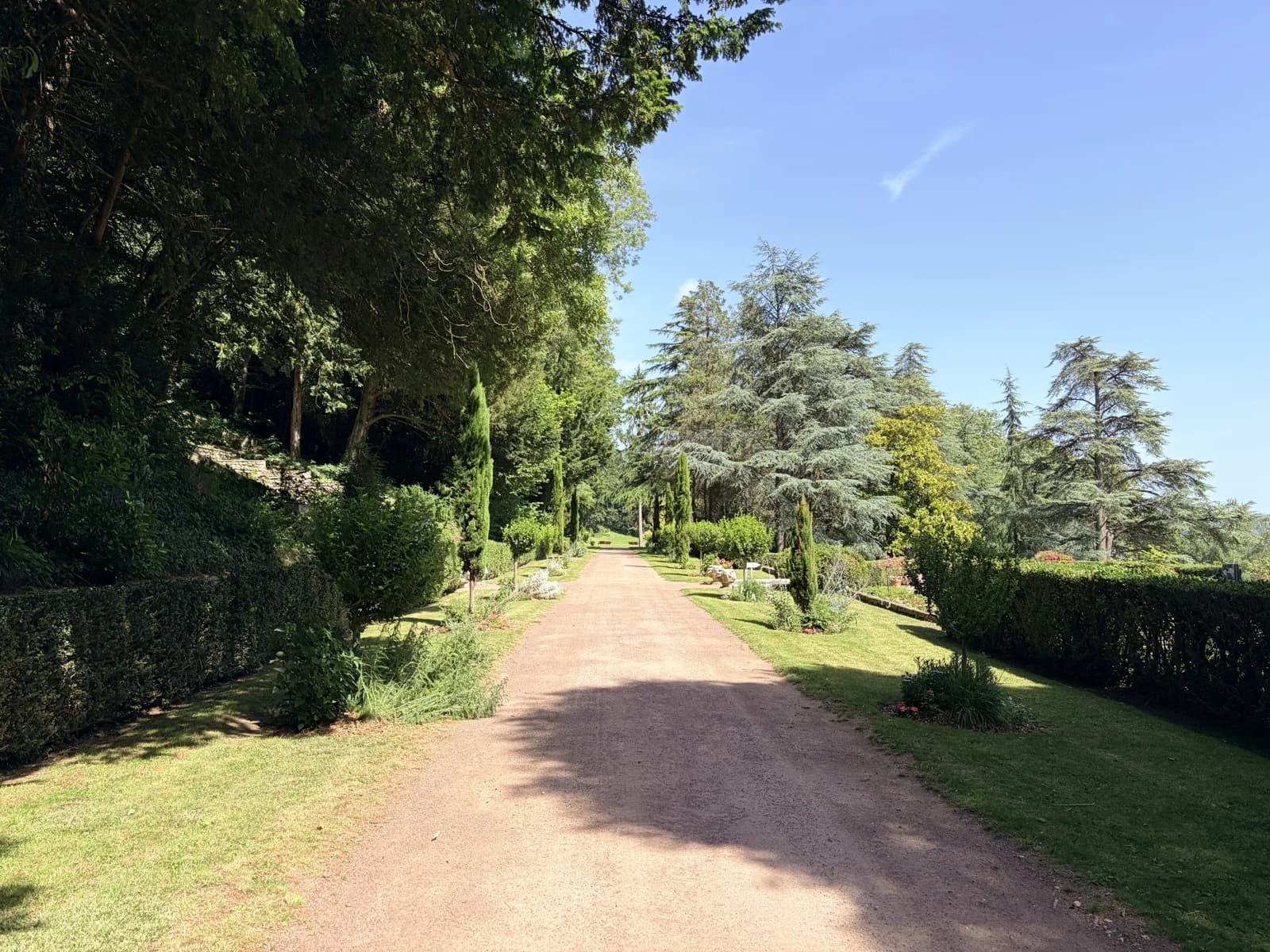Grande allée ombragée du parc Calouste Gulbenkian